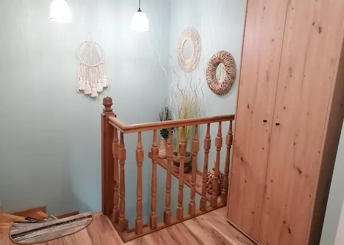 Kot I Pies Apartamento